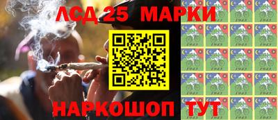 гашик Кулебаки