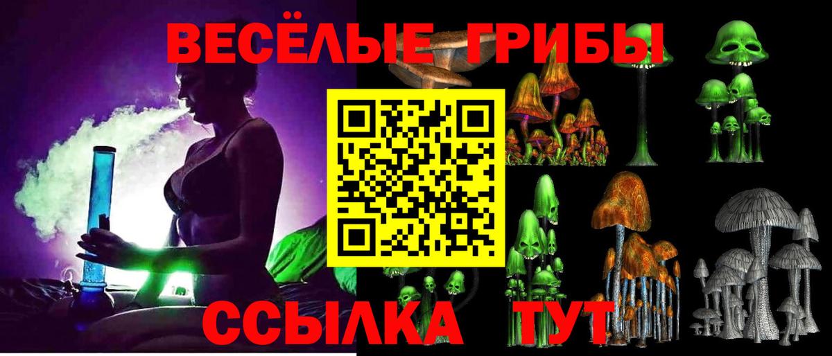 Галлюциногенные грибы Psilocybe  Вход с VPN  Ханты-Мансийск  Псилоцибиновые грибы прущие грибы 